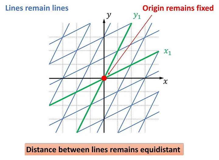 grid after linear transformation